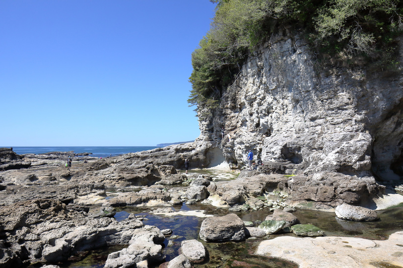 Illustration for article titled Pics from the (Ocean Floor): 2018-05-05 at Botanical Beach